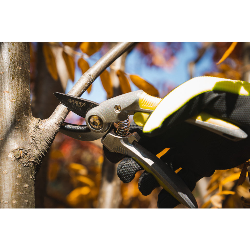GARDEX Foarfeca pomi cu lama dreapta CULTURE GX Pentru taierea plantelor uscate Lame din oțel japonez SK5 călit Lame acoperire cu teflon Mânere cauciucate TPR pentru co