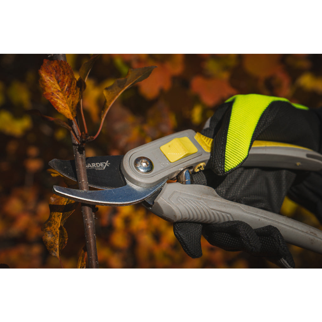 GARDEX Foarfeca pomi CULTURE GX Lame din oțel japonez SK5 călit Lame acoperire cu teflon Mânere cauciucate TPR pentru confort suplimentar Foarte ușoară