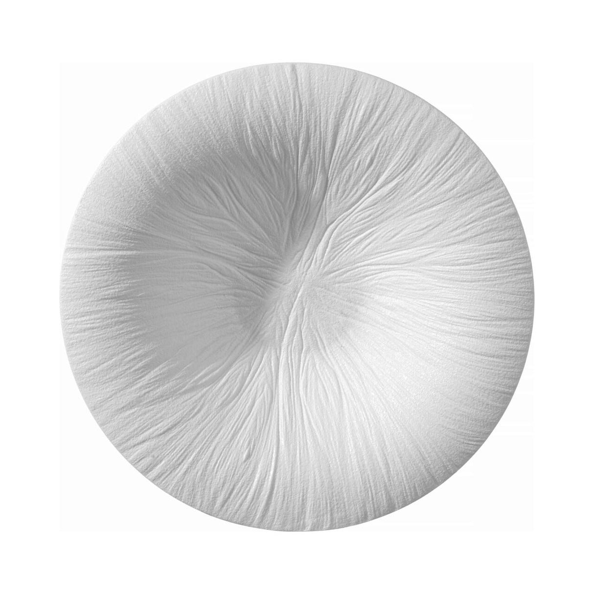 Farfurie de paste Fiord 290mm, Fine Dine