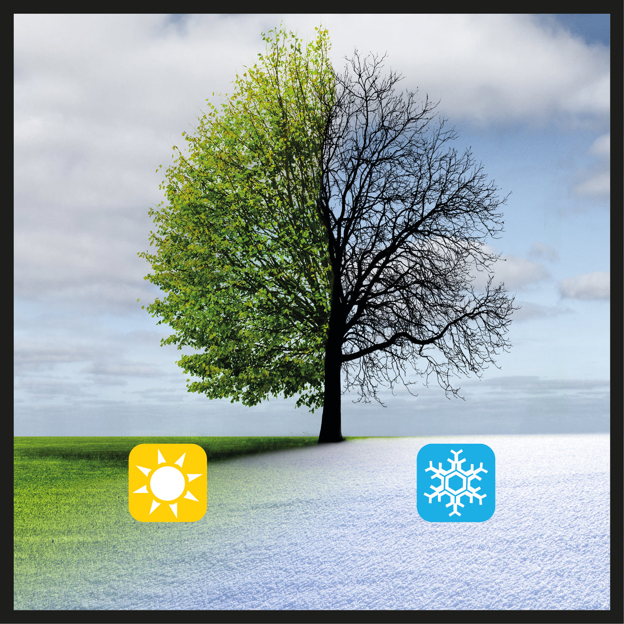 Einhell GE-US 18 Li-Solo Power X-Change gabona-/magszóró (lítium-ion akkumulátor, 3,3 l, 6 sebességfokozat, 8 szórási mennyiség beállítás, akkumulátor és töltő nélkül szállítjuk)