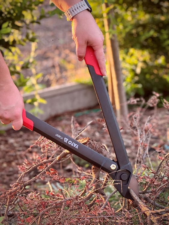 Foarfeca gard viu YATO YT-88307, maner nylon 605 mm - imagine 6