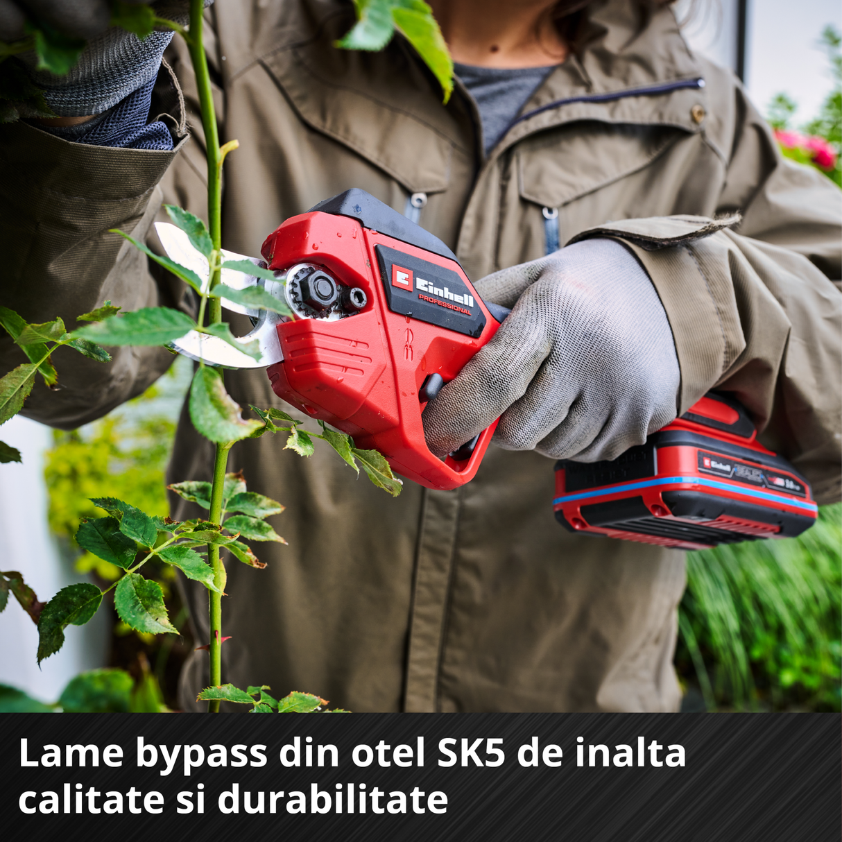 Forfeca de gradina fara fir Einhell GP - LS 18/28 Li BL - Solo - Softgrip BricoMart - scule electrice si unelte profesionale - BricoMart