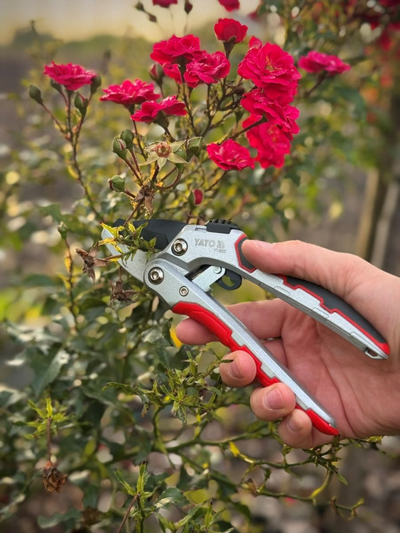 Foarfecă grădină cu clichet 190 mm Yato YT-88122