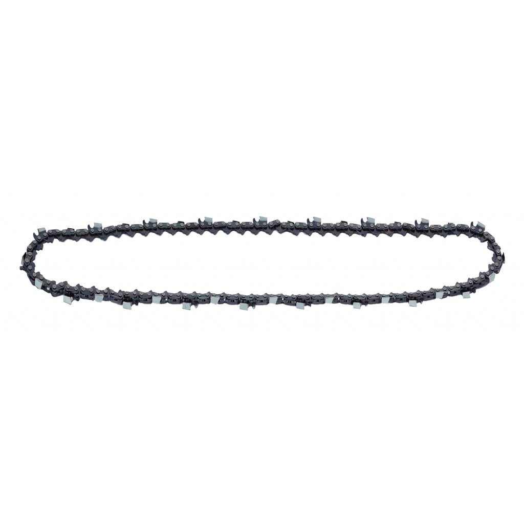 RAIDER Lant pentru cap drujba 10"250mm Precisa, cu un echilibru perfect Raider - scule electrice si unelte profesionale - BricoMart