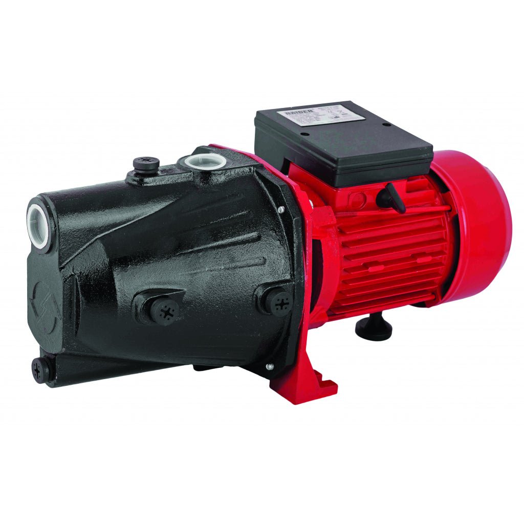 RAIDER Pompa de apa 1100W RD - JET100 Proiectat pentru functionare stationara Raider - scule electrice si unelte profesionale - BricoMart