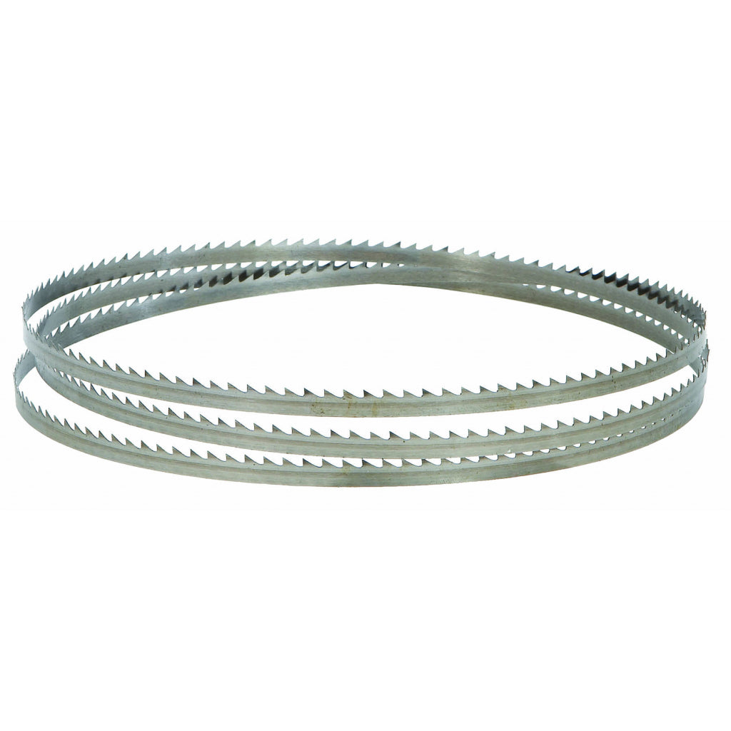 RAIDER Lama pentru fierastrau cu banda 6 x 1400 mm - RD-BSW18 Lungime: 1400mm