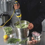 Blender stick BigRig HMI009-CE, Hamilton Beach Commercial,  230V/250W