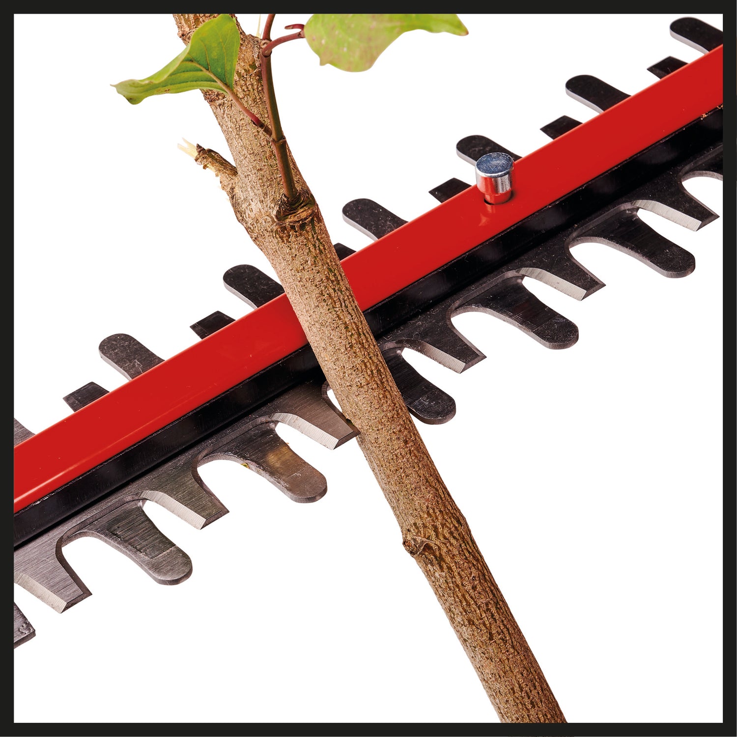 Einhell Professional GP-CH 18/61 Li BL-Solo Power X-Change akkus sövényvágó (18 V, kefe nélküli, vágási hossz 61 cm, blokkolásgátló rendszer, fedéllel, akkumulátor nélkül)