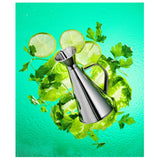 Cana ulei 0,3 lt, Hendi, inox