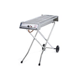 Gratar pe gaz Barbeque