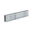 Capse originale Einhell de 19 mm (accesorii pentru pistol de cuie/capse, 3.000 de capse, 5,7 x 19 mm, potrivite pentru capsatorul fara cablu Einhell TE - CN 18 Li si cuierul pneumatic TC - PN 50) Einhell - scule electrice si unelte profesionale - BricoMart