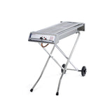 Gratar pe gaz Barbeque