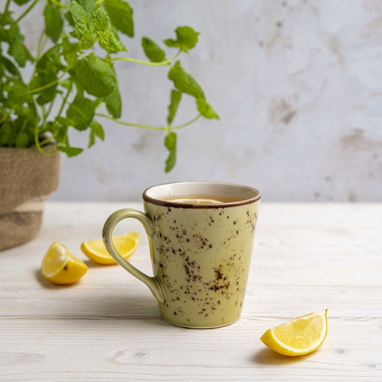 Latiera Olive 85 ml Fine Dine