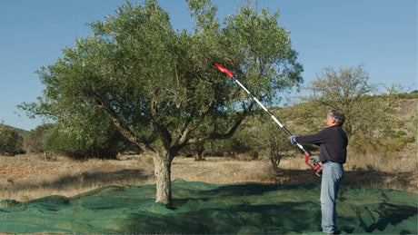 Masina de scuturat de masline/recoltat fructe pe acumulator Einhell GE - FS 18/53 Li - Solo Power X - Change (18 V, latime de lucru 53 cm, lungime totala 310 cm, telescopic, cutite interschimbabile, fara acumulator Einhell - scule electrice si unelte profesionale - BricoMart