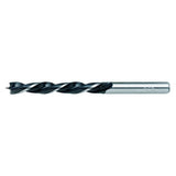 RAIDER Burghiu pt. lemn Ø4 mm 2pcs Cu coada cilindrica Pentru gaurire precisa in lemn Raider - scule electrice si unelte profesionale - BricoMart