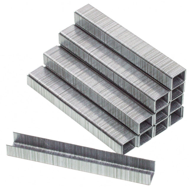 RAIDER Capse pentru RD-AS03 12x9.1x0.7mm 10000buc Fabricate din otel galvanizat Raider - scule electrice si unelte profesionale - BricoMart