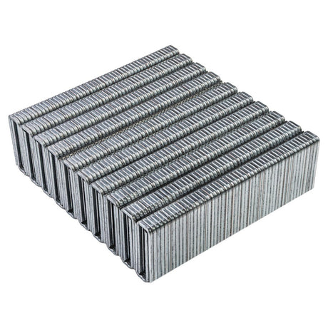 RAIDER Capse RDP - SST20 16x6x1.08mm Tip 55 1000buc Potrivit pentru RDP - SST20 Capse galvanizate Galvanizate la cald Raider - scule electrice si unelte profesionale - BricoMart