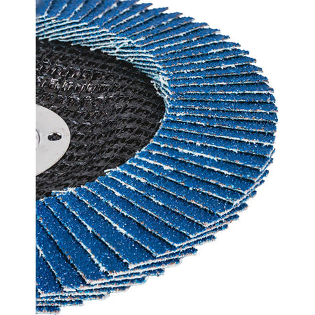 RAIDER Disc lamelar zirconiu 125mm G-100 Granule abrazive de zirconiu care oferă durabilitate Granulație G-100 Construcția lamelară permite o răcire mai bună în Raider - scule electrice si unelte profesionale - BricoMart