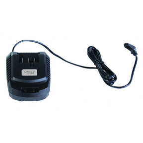 RAIDER Incarcator Li - ion 18V RD - LM23 Timp de incarcare - 3 h Raider - scule electrice si unelte profesionale - BricoMart