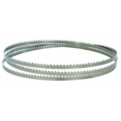 RAIDER Lama pentru fierastrau cu banda 6 x 1400 mm - RD - BSW18 Lungime: 1400mm Raider - scule electrice si unelte profesionale - BricoMart