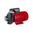 RAIDER Pompa de apa 1500W RD - 2DK20 Proiectat pentru functionare stationara Raider - scule electrice si unelte profesionale - BricoMart