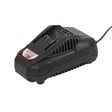 RAIDER R20 Incarcator acumulator pentru RDP - R20 System Incarcare rapida pentru baterii de 2 Ah Raider - scule electrice si unelte profesionale - BricoMart