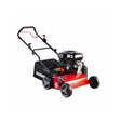 RAIDER Scarificator benzina 4.0kW 5.5CP 420mm 45l RD - GCS03 Pentru îndepărtarea permanentă a mușchiului, a ierbii uscate și a buruienilor Raider - scule electrice si unelte profesionale - BricoMart
