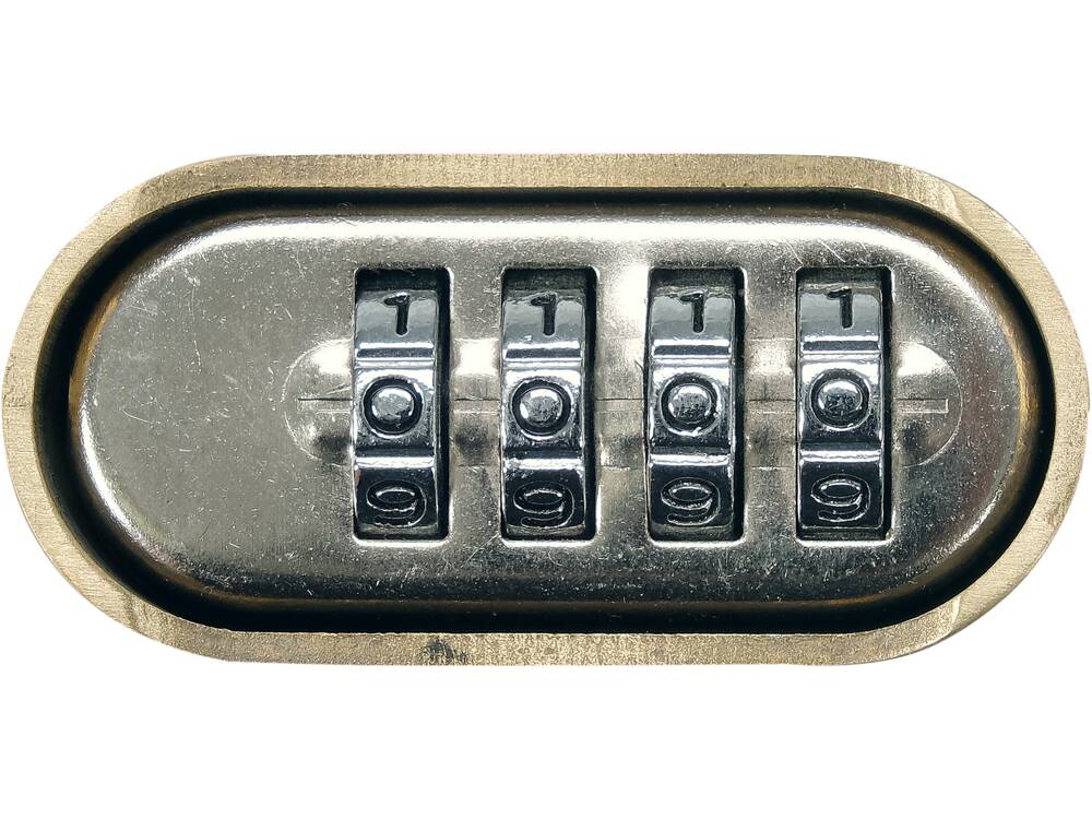 LACAT ALAMA CU VOREL 77618 CIFRU 50MM