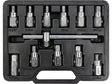 SET BITI PENTRU YATO YT-0600 BUSON ULEI 12 BUC YATO - scule electrice si unelte profesionale - BricoMart