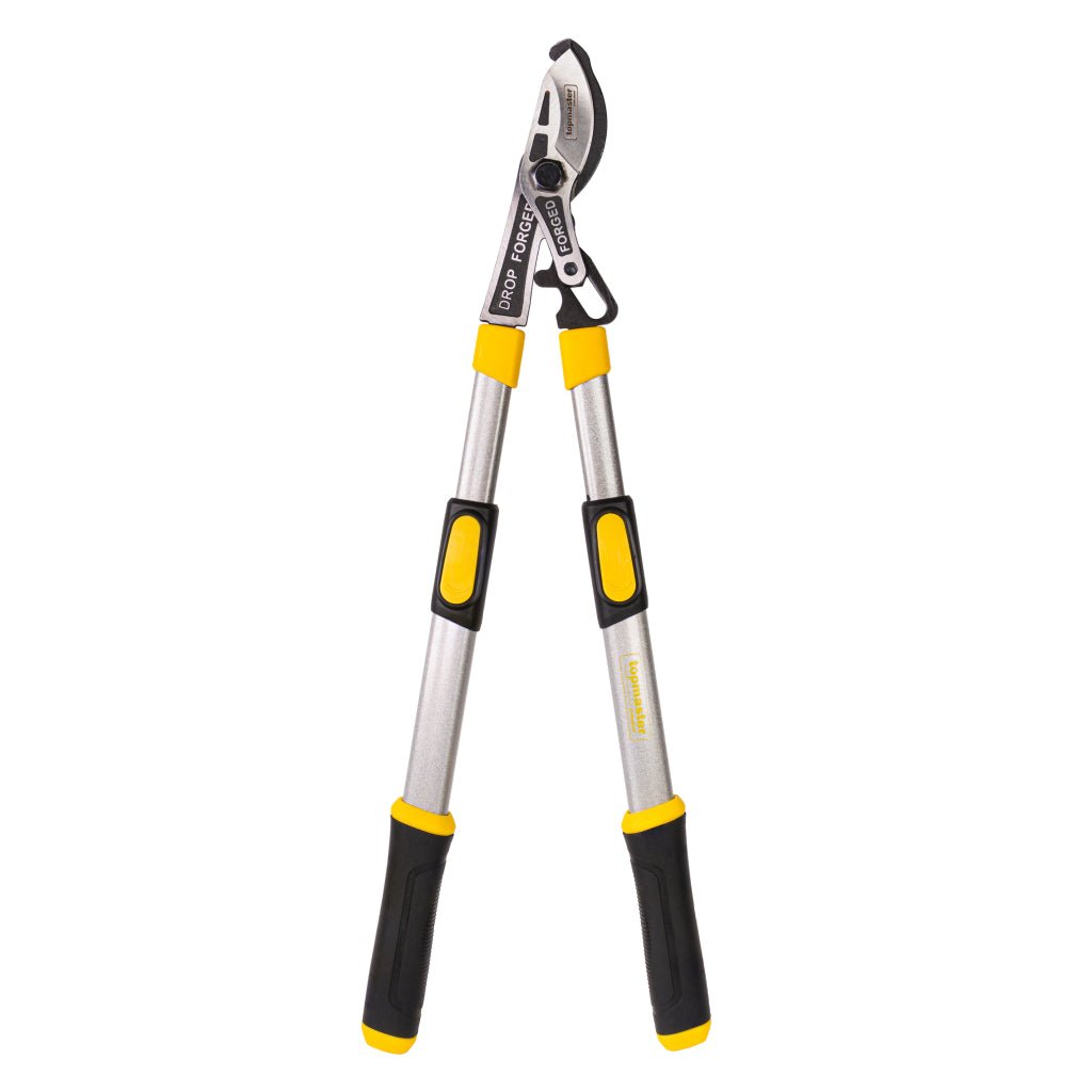 TOP MASTER PRO Foarfeca pentru crengi forjata cu maner telescopic TMP Maner din aliaj de aluminiu Material: otel calit de inalta calitate Top Master Pro - scule electrice si unelte profesionale - BricoMart