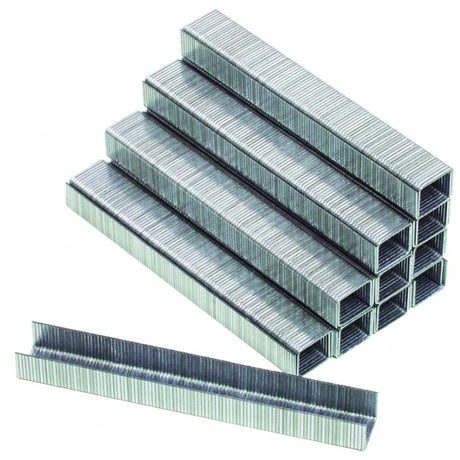 TOP MASTER PRO Set 1000buc capse l=10.6mm H=6mm Material: otel calit Top Master Pro - scule electrice si unelte profesionale - BricoMart