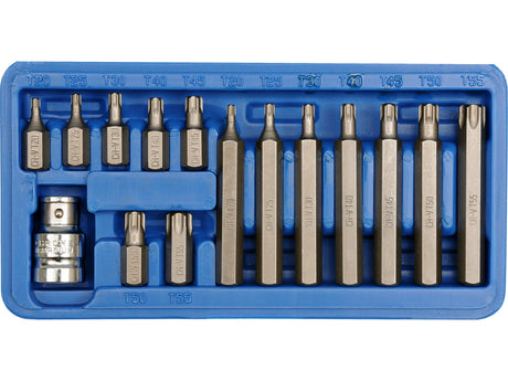 TRUSA 15 PIESE VOREL 66580 BITI TORX, CR - V VOREL - scule electrice si unelte profesionale - BricoMart