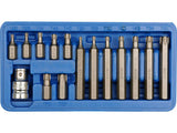 TRUSA 15 PIESE VOREL 66580 BITI TORX, CR - V VOREL - scule electrice si unelte profesionale - BricoMart